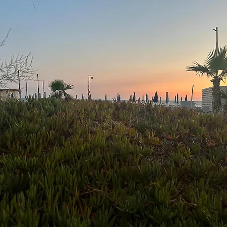 アパート Agropoli 28 *